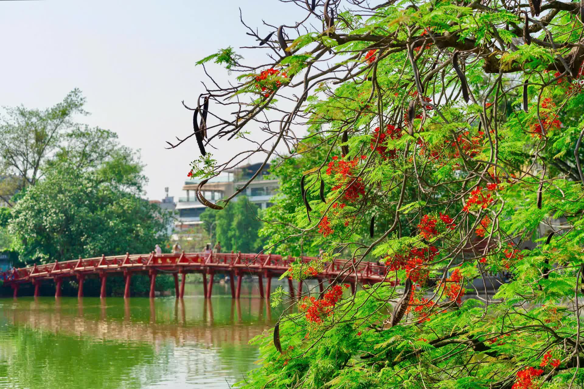 Hanoi: A magnet for tourists on National Day holiday- Ảnh 2.