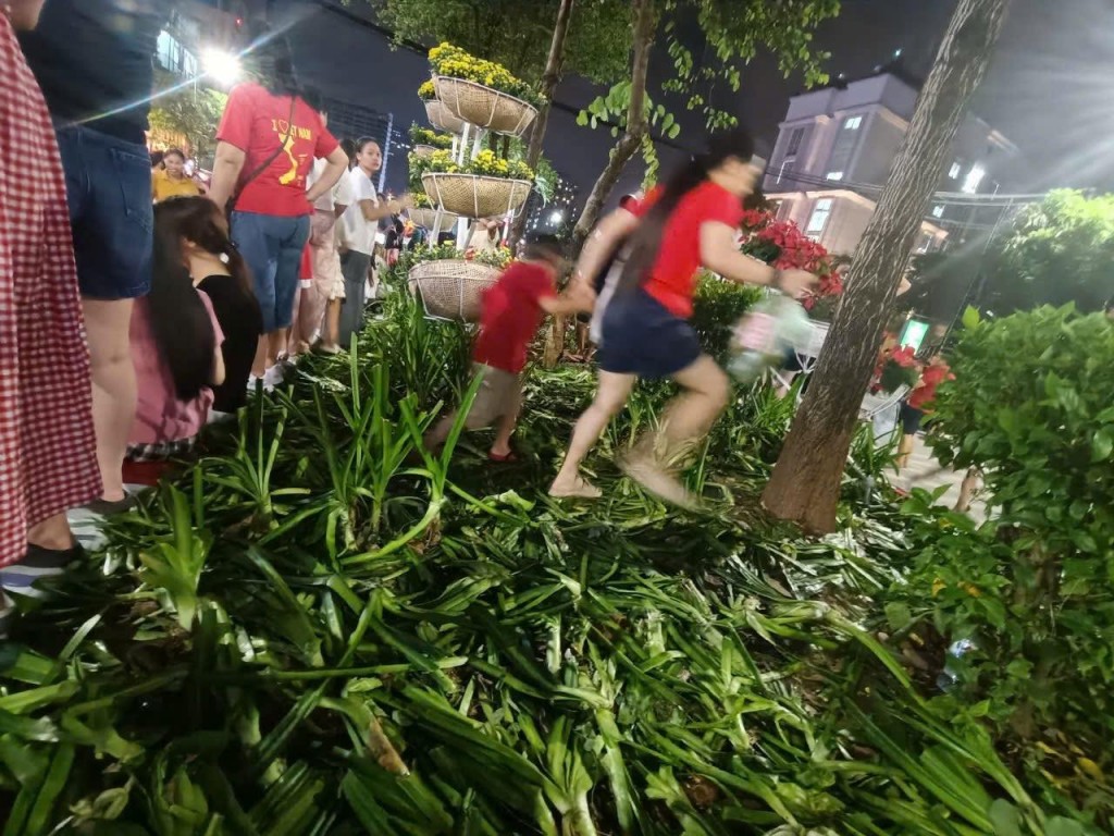 Hãy gìn giữ nét đẹp Tràng An từ những điều nhỏ nhất- Ảnh 2. Hãy gìn giữ nét đẹp Tràng An từ những điều nhỏ nhất- Ảnh 2.