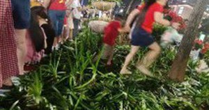 Đừng để những hình ảnh không đẹp làm lu mờ ngày vui của dân tộc